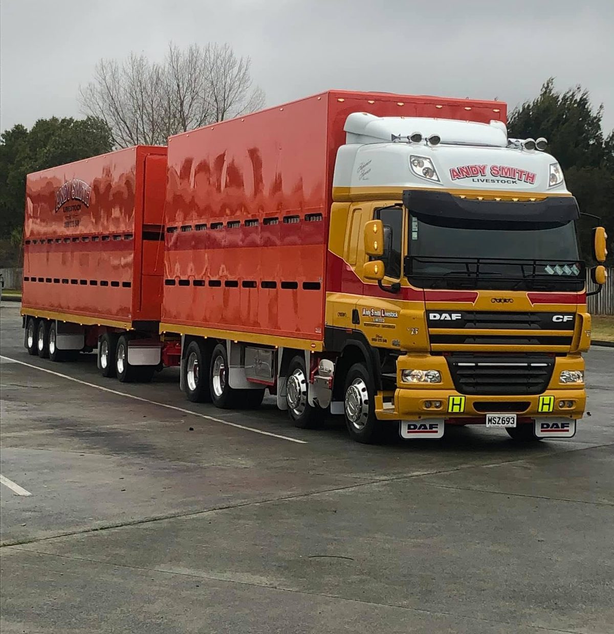 Andy Smith Livestock DAF CF with gleaming red stock crates